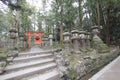 Historic, site, archaeological, shinto, shrine, temple, place, of, worship, tree, forest