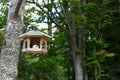 Photo of homemade wooden birdhouse in the forest.