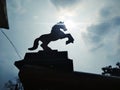 A photo of horse runing with a bright sun rise and with beautiful blue sky