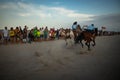 Horses running in the beach