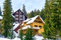 house in winter against the background of fir trees Royalty Free Stock Photo