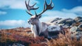 Hyper-realistic Caribou In Norwegian Nature