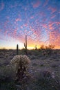 Sunset in the Mackerel Sky of Arizona Royalty Free Stock Photo