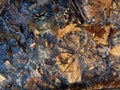 Cold Ice Formations at a Pond in January in Winter