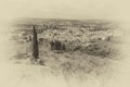 An olive grove on a side of hill overlooking the town of Certaldo, Tuscany, Italy