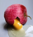 Photo illustration of surrealism showing an apple with egg inside