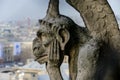 Notre Dame de paris Church cathedral detail, Photo image a Beautiful panoramic view of Paris Metropolitan City Royalty Free Stock Photo