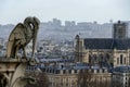 Notre Dame de paris Church cathedral detail, Photo image a Beautiful panoramic view of Paris Metropolitan City Royalty Free Stock Photo