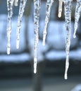 Photo image with spring icicles. Abstract cold background