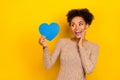 Photo of impressed millennial brunette lady hold look heart wear sweater isolated on yellow color background