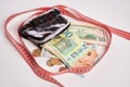 Photo of Inch Tape Purse Euro Dollars