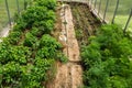 Photo of the interior space of a homemade village greenhouse with bushes of potato and  dill. Irrigation hoses are laid between Royalty Free Stock Photo