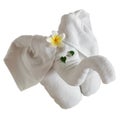 Isolated towel elephant with flower and green leaves