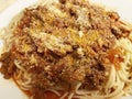 Basic Spaghetti With Sausage, Onion, Tomato Sauce and Parmesan Cheese