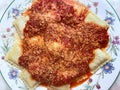 Ravioli With Tomato Sauce and Parmesan Cheese Royalty Free Stock Photo
