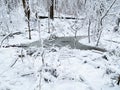 January Snow Landscape Winter Forest and Water Royalty Free Stock Photo