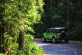 Photo of a 2020 2021 Jeep Wrangler green