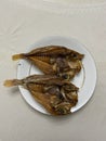 Photo of Katambak or Dried Sweetlip Emperor Fish on Plate Filipino Dish Royalty Free Stock Photo