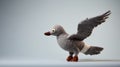 Gray Knitted Stuffed Seagull Toy With Open Wings