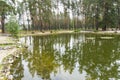 Photo lake in the forest, beautiful, background