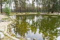 Photo lake in the forest, beautiful, background