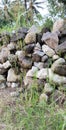 Photo of a large pile of natural stones Royalty Free Stock Photo
