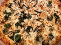 Large Takeout Spinach and Cheese Pizza