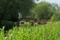 A photo of Leicester Canal Packhorse Bridge of the River Soar Leicester, UK