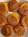 Lemon Cupcakes Fresh From the Oven