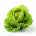 High-key Lighting: Lettuce Isolated On White Background