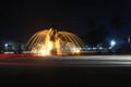 photo light trail yellow lamp fountain and fish statue city