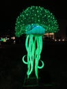 Green Jelly Fish at Night