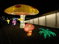 Mushroom Garden at Night