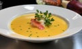 The photo of the Lobster bisque Royalty Free Stock Photo