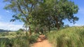 Photo of the location: Din Daeng Road, direct dirt road. Along the side of the road, tall grass grew into a wide meadow.