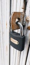photo of the locked lock hanging on the garage door