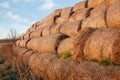 Photo a lot of bales of hay stacked on top of each other against the blue sky. Harvesting hay, dry grass Royalty Free Stock Photo