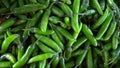 Photo of lot of fresh green chili peppers Royalty Free Stock Photo