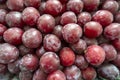 Photo of a lot of plums on the counter of the store Royalty Free Stock Photo
