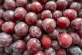 Photo of a lot of plums on the counter of the store Royalty Free Stock Photo