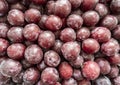 photo of a lot of plums on the counter of the store Royalty Free Stock Photo