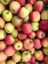 Photo lots of apples on the counter supermarket