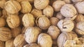 Lots of inshell walnuts texture Royalty Free Stock Photo