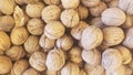 Lots of inshell walnuts texture Royalty Free Stock Photo