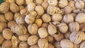Lots of inshell walnuts texture Royalty Free Stock Photo