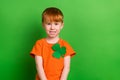 Photo of lovely boy wear saint patrick symbol clover celebrate kindergarten traditional holiday isolated green color Royalty Free Stock Photo