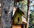 Small bird house by the cottage in the wood Royalty Free Stock Photo