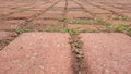 Photo, Low Angle Perspective, Red Paving Block Road with fresh green grass