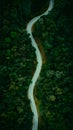 Photo lush green forest and winding road scene Aerial view Royalty Free Stock Photo