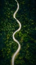 Photo lush green forest and winding road scene Aerial view Royalty Free Stock Photo